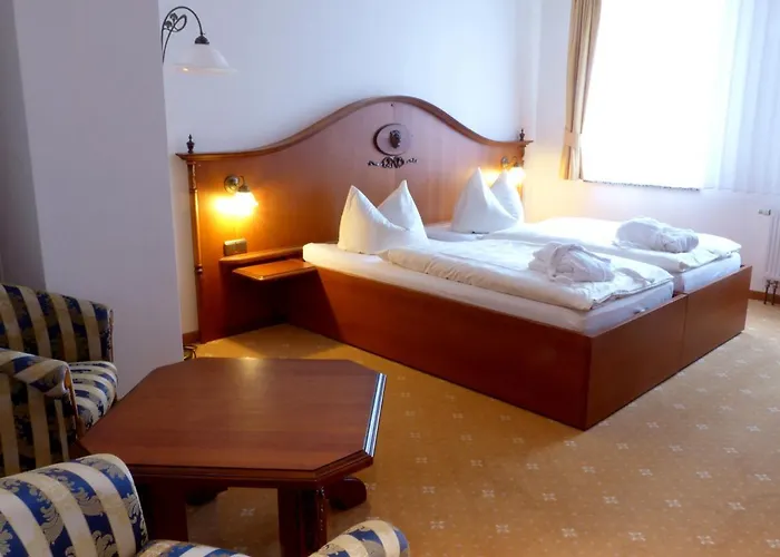 Hotel Goldner Loewe 4*